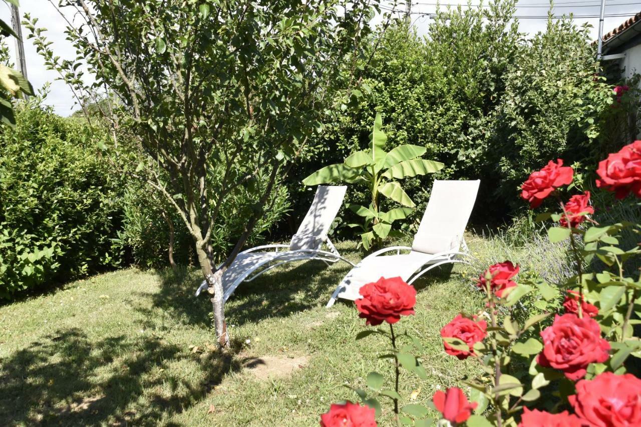 Maison Dans Le Vignoble De Bordeaux-Blaye-Bourg-Cnpe Saint-Trojan Εξωτερικό φωτογραφία